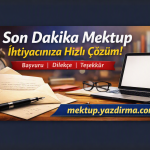 Son Dakika Mektup İhtiyacınıza Hızlı Çözüm | Başvuru, Dilekçe, Teşekkür